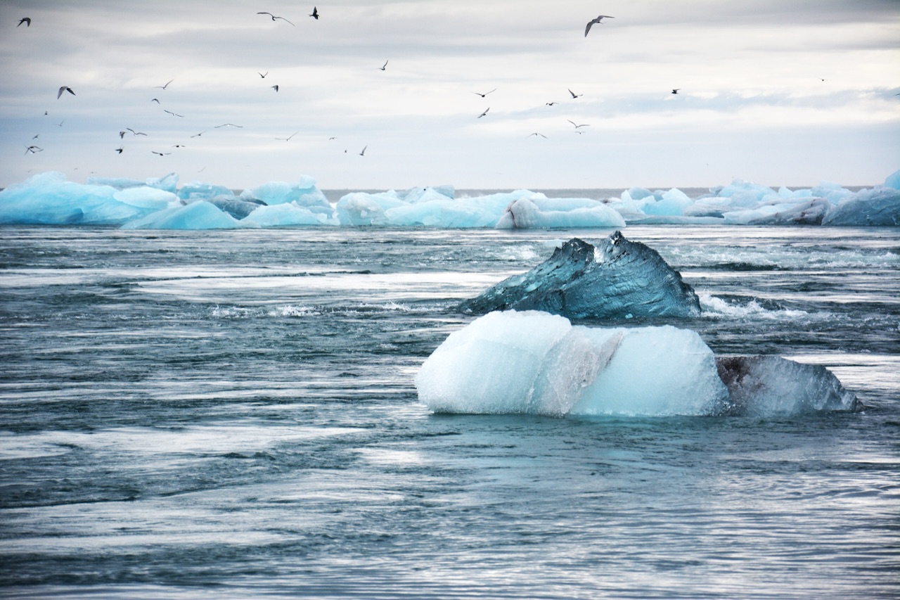 Icebergs of varying size drifting in the open water of a glacial lagoon under flat grey light.
